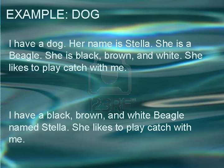 EXAMPLE: DOG I have a dog. Her name is Stella. She is a Beagle. EXAMPLE: DOG I have a dog. Her name is Stella. She is a Beagle.