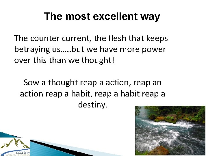 The most excellent way The counter current, the flesh that keeps betraying us…. .