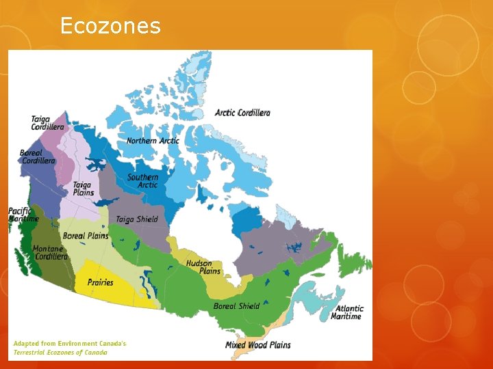 Ecozones 