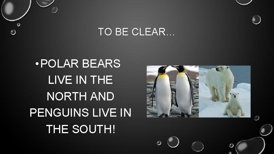 TO BE CLEAR… • POLAR BEARS LIVE IN THE NORTH AND PENGUINS LIVE IN