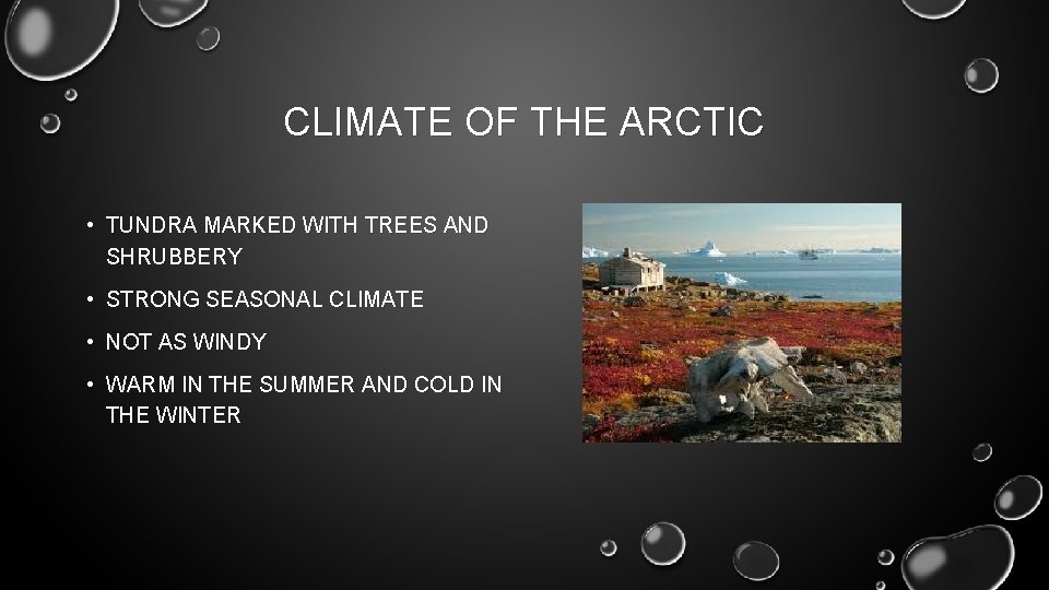 CLIMATE OF THE ARCTIC • TUNDRA MARKED WITH TREES AND SHRUBBERY • STRONG SEASONAL