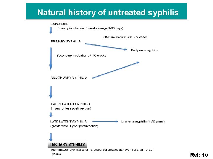 Syphilis Decomposition Understand 1 Virulence factor of bacteria 2 Koch