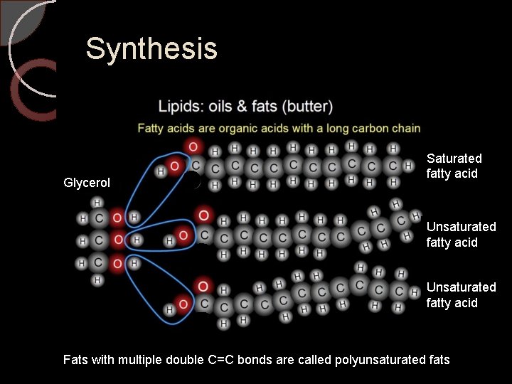 Synthesis Glycerol Saturated fatty acid Unsaturated fatty acid Fats with multiple double C=C bonds