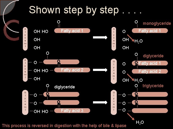 Shown step by step. . O G l y c e ro l O