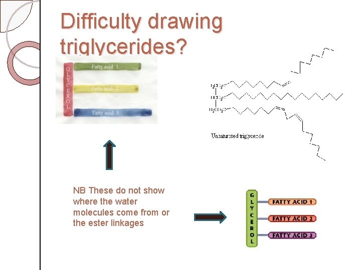 Difficulty drawing triglycerides? NB These do not show where the water molecules come from