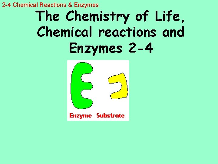 2 4 Chemical Reactions Enzymes The Chemistry of