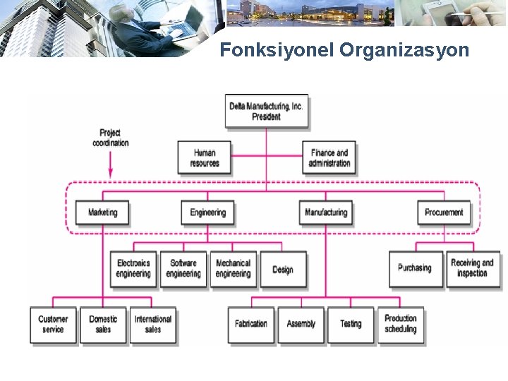 Fonksiyonel Organizasyon 