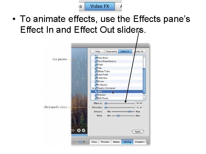  • To animate effects, use the Effects pane’s Effect In and Effect Out