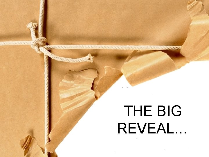 THE BIG REVEAL… 