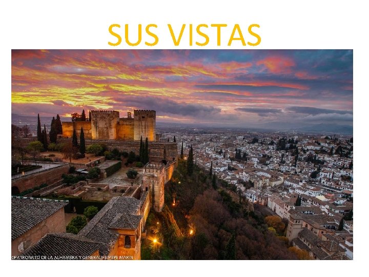 SUS VISTAS. 