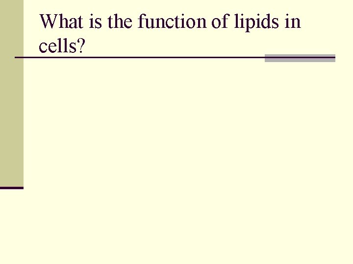What is the function of lipids in cells? 