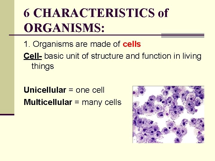 6 CHARACTERISTICS of ORGANISMS: 1. Organisms are made of cells Cell- basic unit of