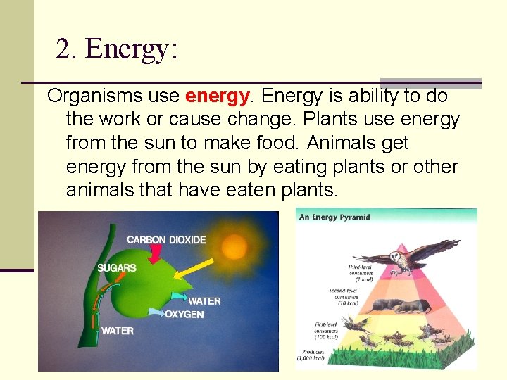 2. Energy: Organisms use energy. Energy is ability to do the work or cause