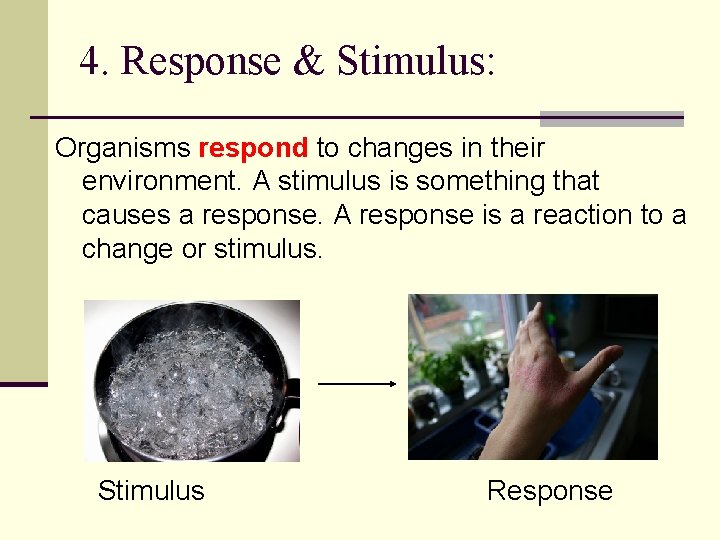 4. Response & Stimulus: Organisms respond to changes in their environment. A stimulus is