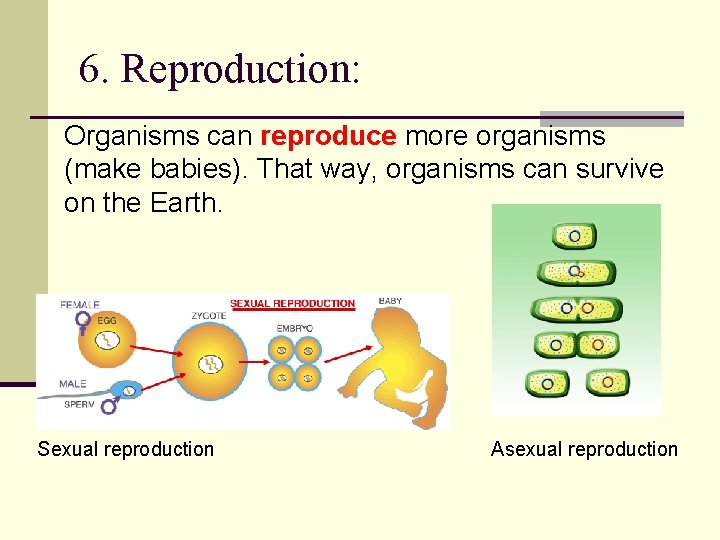 6. Reproduction: Organisms can reproduce more organisms (make babies). That way, organisms can survive
