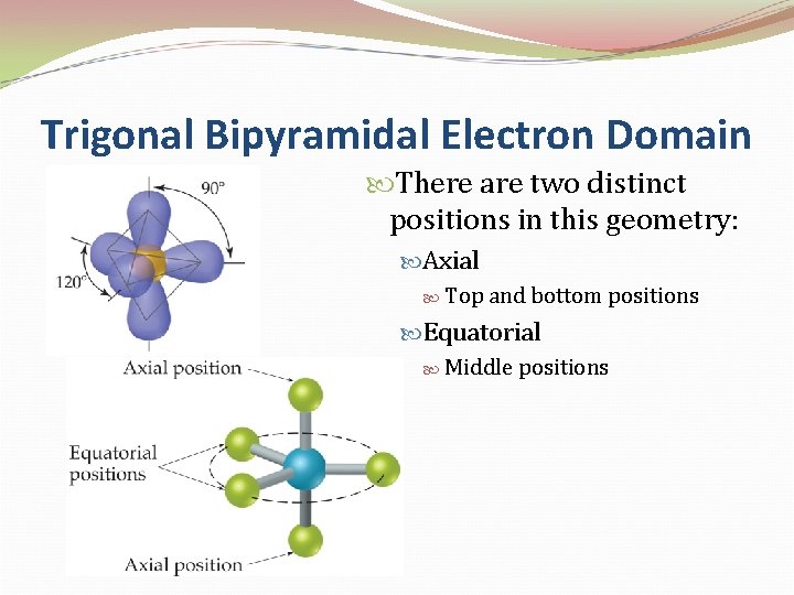 Trigonal Bipyramidal Electron Domain There are two distinct positions in this geometry: Axial Top