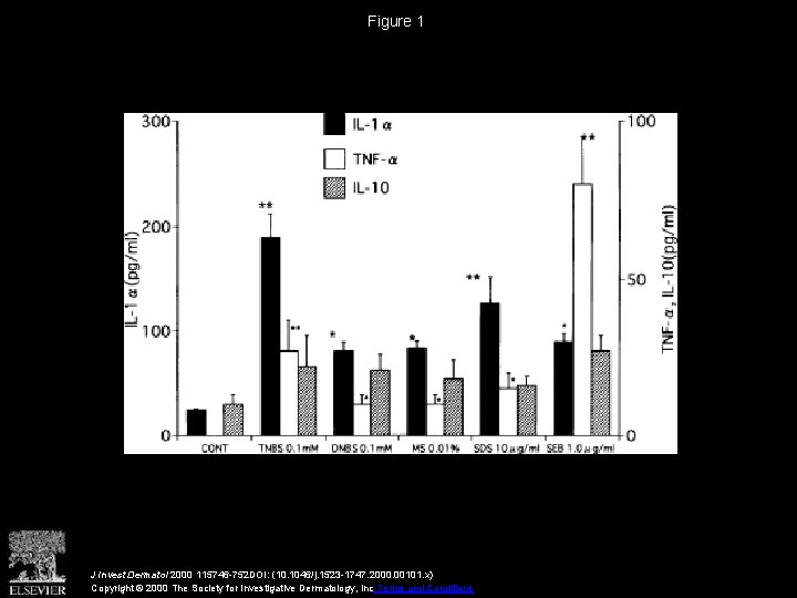 Figure 1 J Invest Dermatol 2000 115746 -752 DOI: (10. 1046/j. 1523 -1747. 2000.