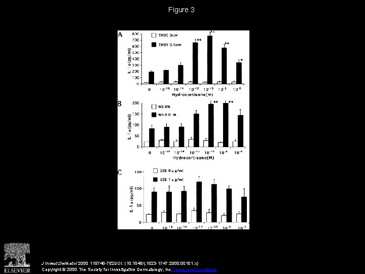 Figure 3 J Invest Dermatol 2000 115746 -752 DOI: (10. 1046/j. 1523 -1747. 2000.