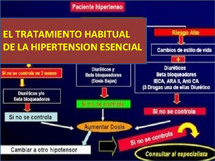 EL TRATAMIENTO HABITUAL DE LA HIPERTENSION ESENCIAL 