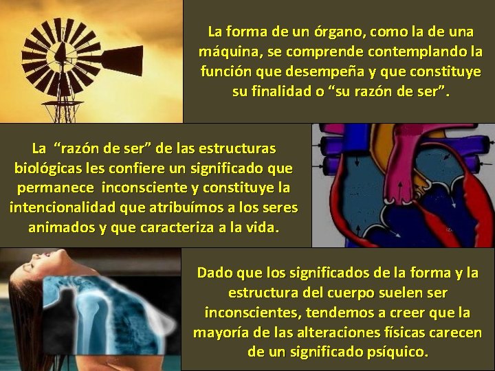 La forma de un órgano, como la de una máquina, se comprende contemplando la