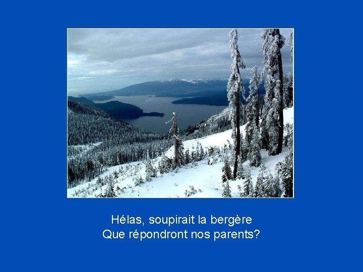 Hélas, soupirait la bergère Que répondront nos parents? 