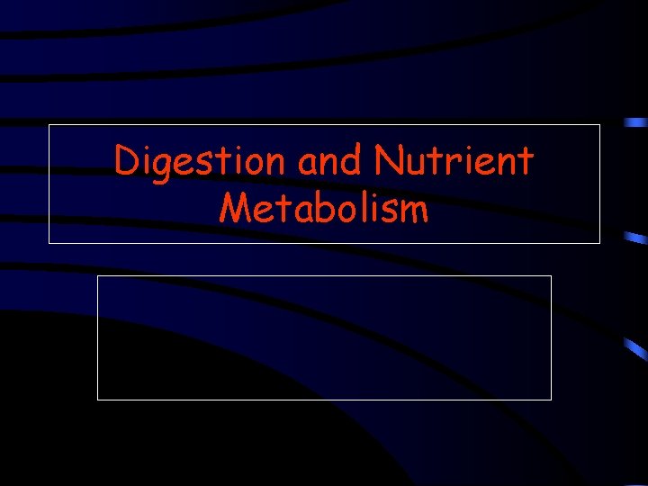 Digestion and Nutrient Metabolism 