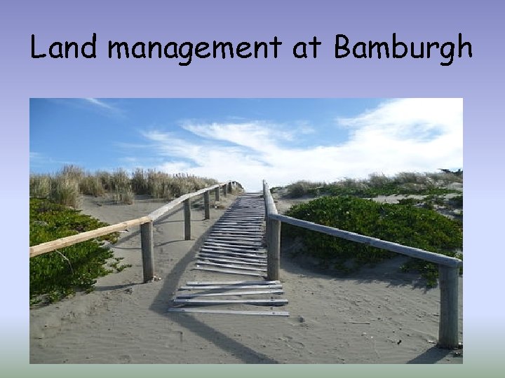 Land management at Bamburgh 