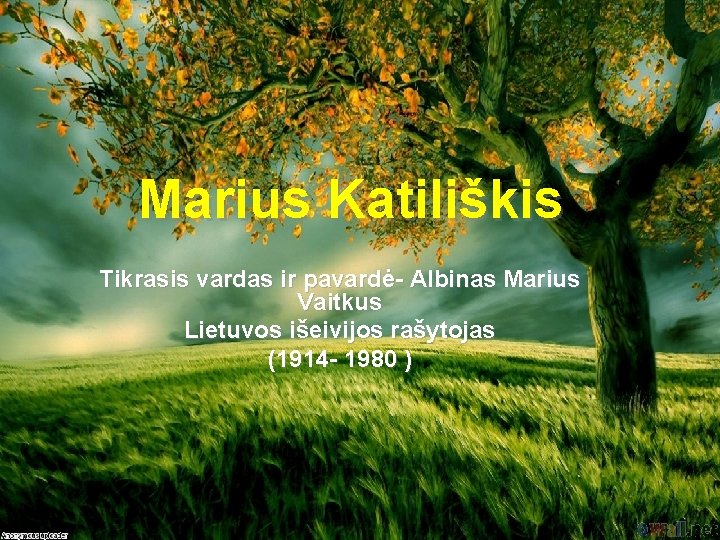 Marius Katiliškis Tikrasis vardas ir pavardė- Albinas Marius Vaitkus Lietuvos išeivijos rašytojas (1914 -