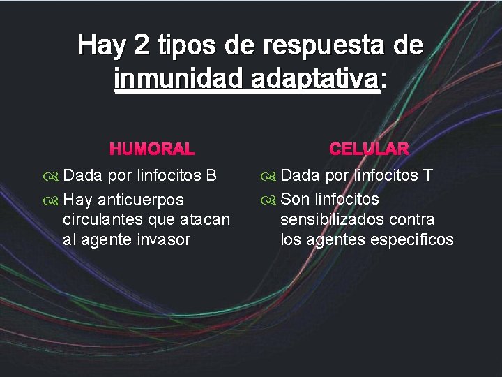 Hay 2 tipos de respuesta de inmunidad adaptativa: HUMORAL Dada por linfocitos B Hay