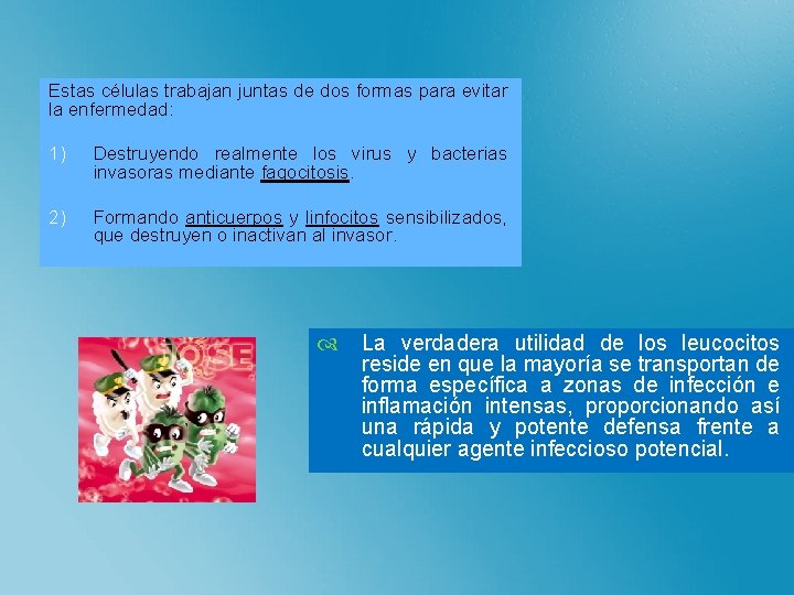 Estas células trabajan juntas de dos formas para evitar la enfermedad: 1) Destruyendo realmente