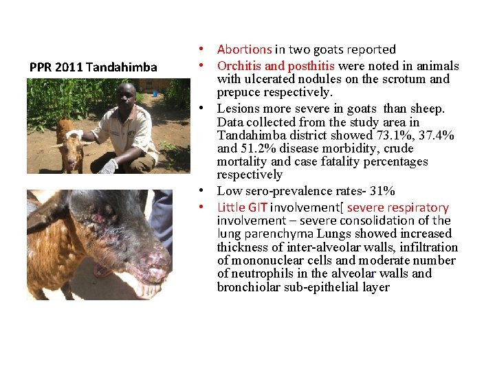 PPR 2011 Tandahimba zz • Abortions in two goats reported • Orchitis and posthitis