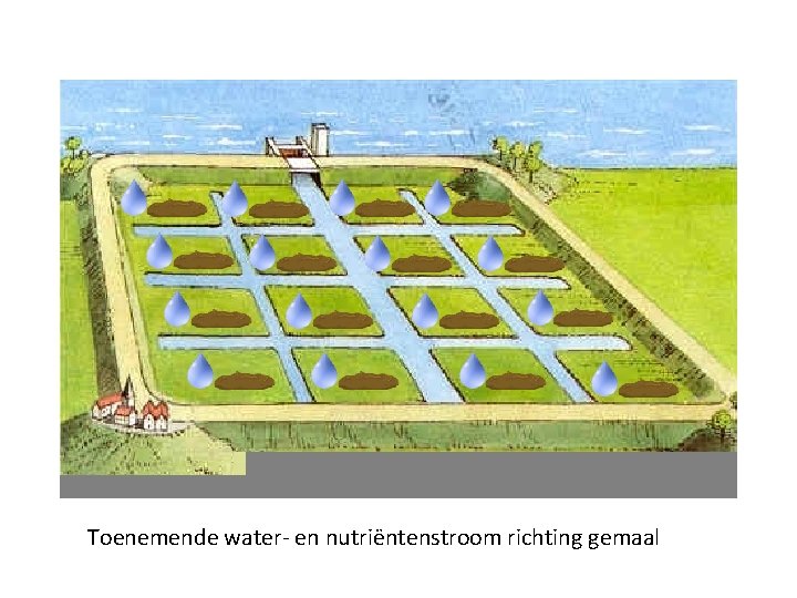 Toenemende water- en nutriëntenstroom richting gemaal 