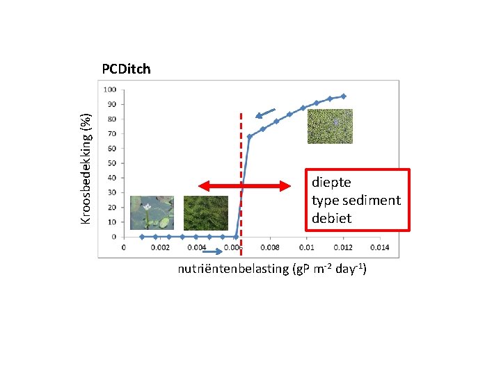 Kroosbedekking (%) PCDitch diepte type sediment debiet nutriëntenbelasting (g. P m-2 day-1) 