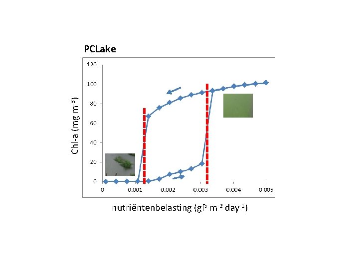 Chl-a (mg m-3) PCLake nutriëntenbelasting (g. P m-2 day-1) 