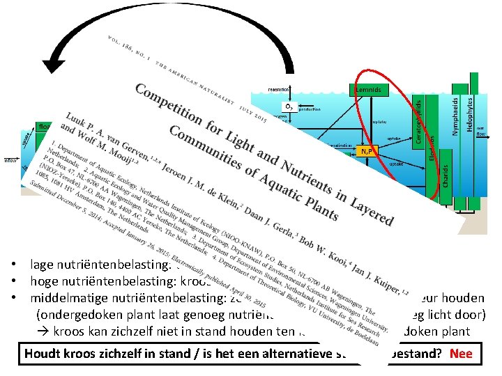  • lage nutriëntenbelasting: ondergedoken plant wint • hoge nutriëntenbelasting: kroos wint • middelmatige