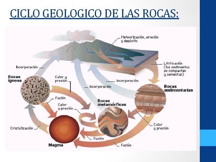 CICLO GEOLOGICO DE LAS ROCAS: CICLO GEOLOGICO DE LAS ROCAS: