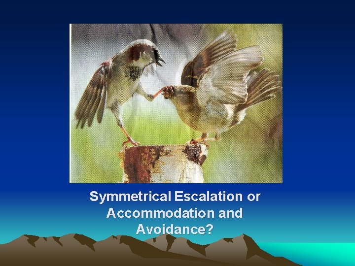 Symmetrical Escalation or Accommodation and Avoidance? 