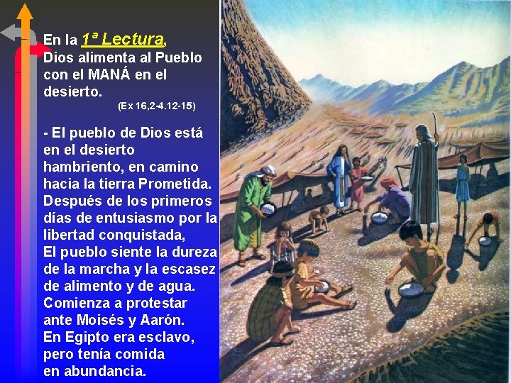 En la 1ª Lectura, Dios alimenta al Pueblo con el MANÁ en el desierto.