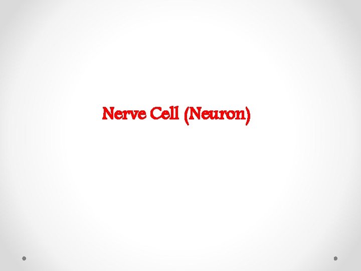 Nerve Cell (Neuron) 