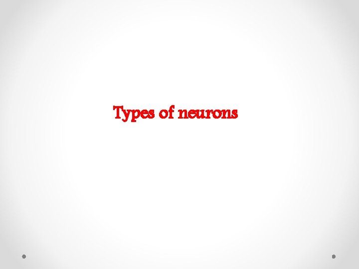 Types of neurons 