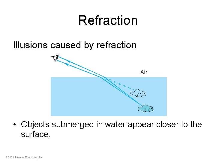 Refraction Illusions caused by refraction • Objects submerged in water appear closer to the