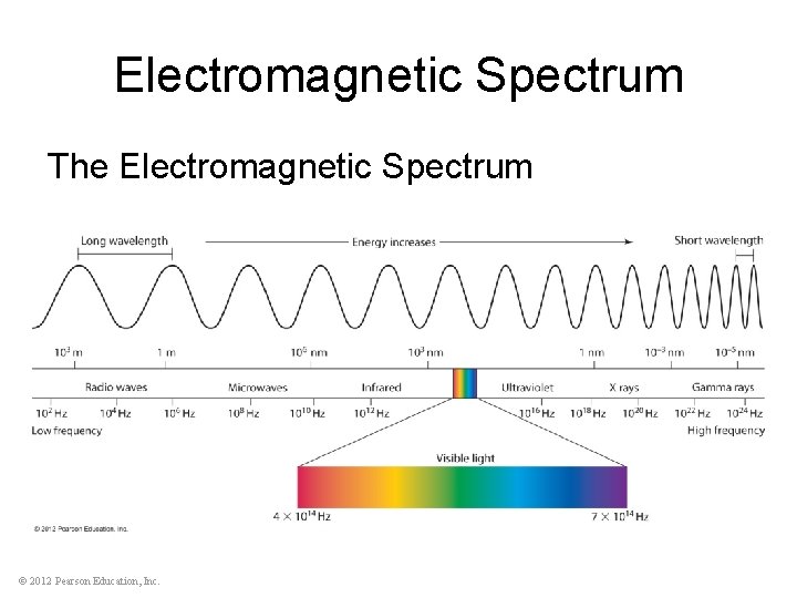 Electromagnetic Spectrum The Electromagnetic Spectrum © 2012 Pearson Education, Inc. 