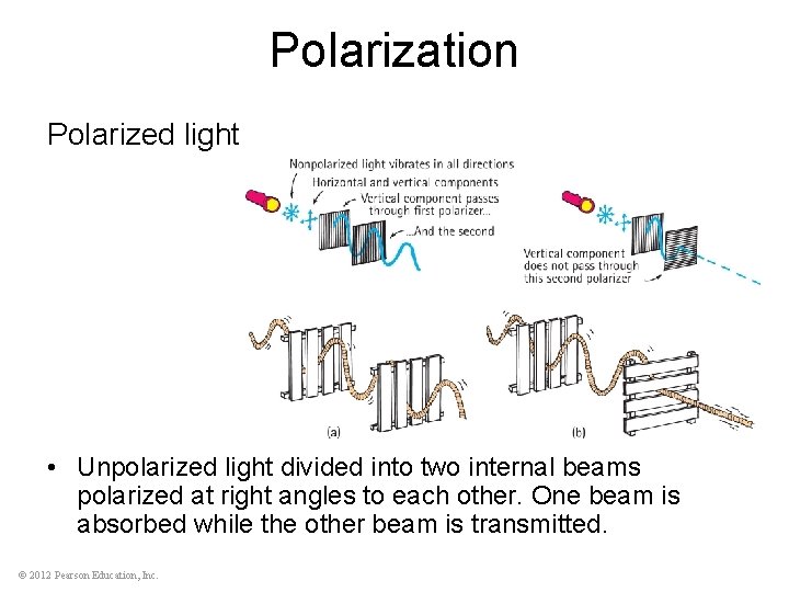 Polarization Polarized light • Unpolarized light divided into two internal beams polarized at right