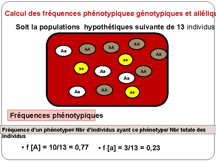 Calcul des fréquences phénotypiques génotypiques et alléliqu Soit la populations hypothétiques suivante de 13