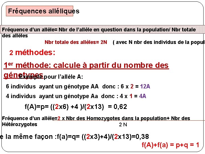 Fréquences alléliques Fréquence d’un allèle= Nbr de l’allèle en question dans la population/ Nbr