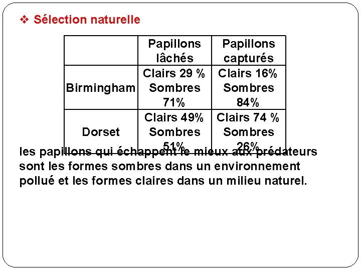 v Sélection naturelle Papillons lâchés capturés Clairs 29 % Clairs 16% Birmingham Sombres 71%