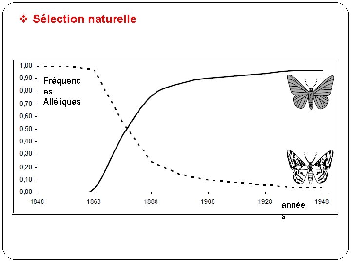 v Sélection naturelle Fréquenc es Alléliques année s 