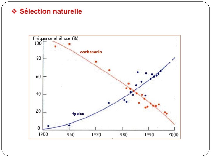 v Sélection naturelle 