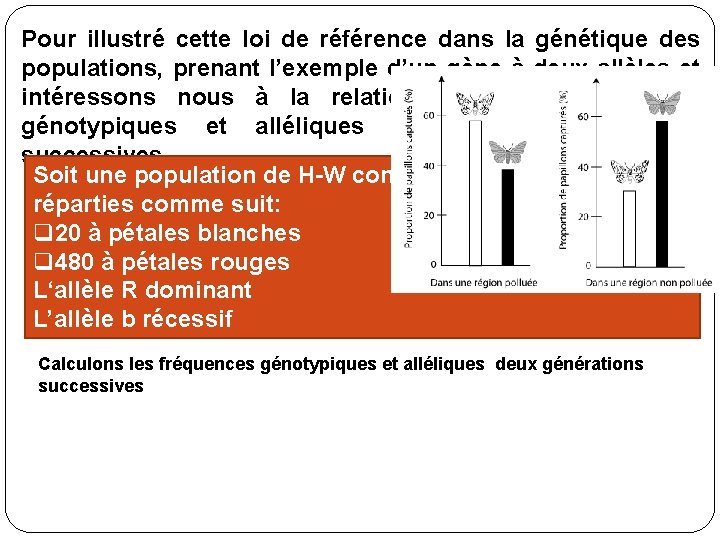 Pour illustré cette loi de référence dans la génétique des populations, prenant l’exemple d’un