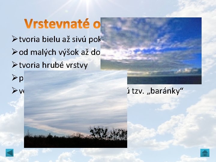 Øtvoria bielu až sivú pokrývku Øod malých výšok až do 8 km Øtvoria hrubé